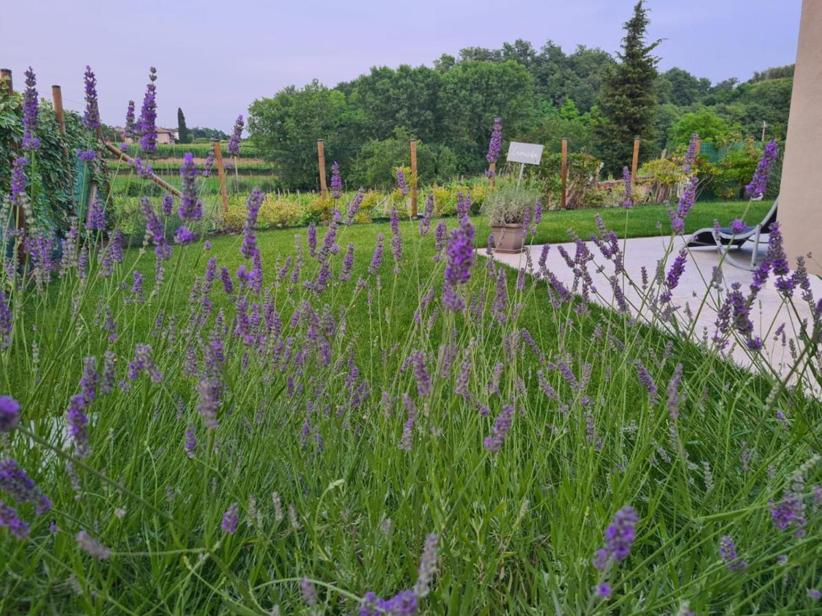 Residence Le Aromatiche Кавайон-Веронезе Экстерьер фото